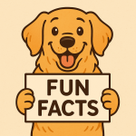 Fun Facts About Dogs