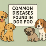 Common Diseases Found in Dog Poo